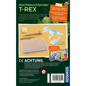 Nachtleuchtender T-REX