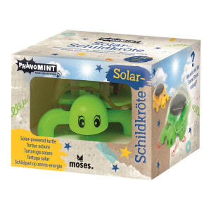 PhänoMINT Solar-Schildkröte