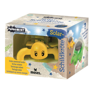 PhänoMINT Solar-Schildkröte